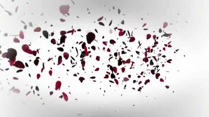 Romantic Logo and Text Reveal - After Effects Template