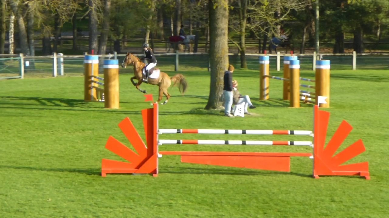 ORANGE DES MAUVES FONTAINEBLEAU 20 04 2014 AS PONEY 2D