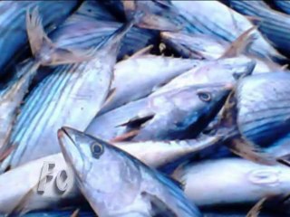 Foro Comunal Programa Nro. 19