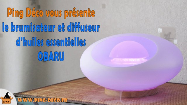 diffuseur d'huiles essentielles verre ovale design OBARU (WWW.PING-DECO.FR)