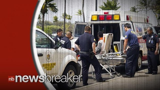 Stowaway Survives -81 Degrees Fahrenheit in Wheel Well of Plane Traveling From California to Hawaii