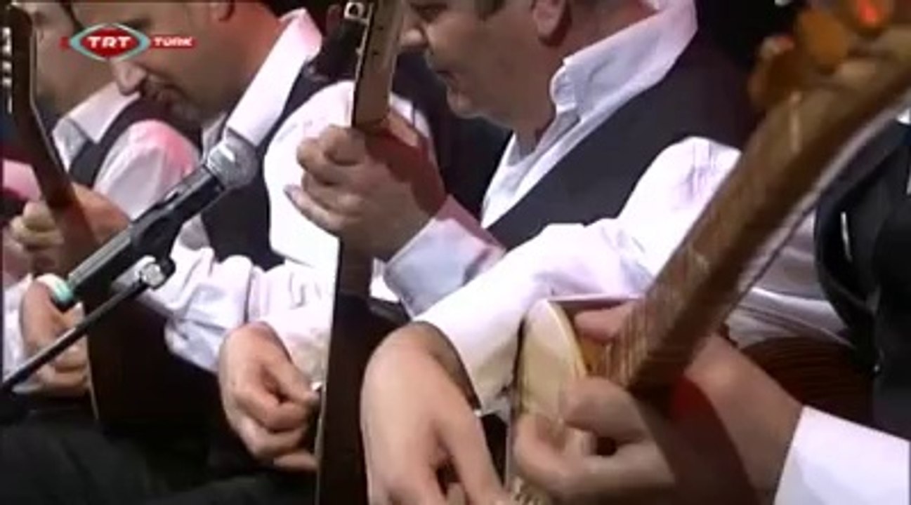 Gülşen Kutlu_Telli turnam