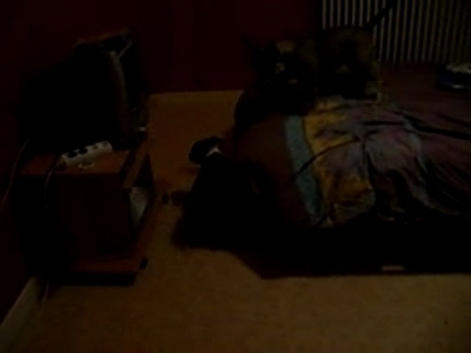 Les staffs tjs suréxité mdr