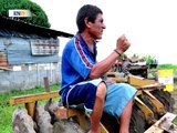 Fedeagro: Las intervenciones de tierras son una mala señal para los agricultores