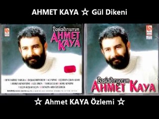 AHMET KAYA ☆ Gül Dikeni