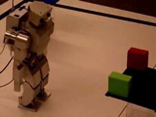 Brain control of humanoid robot