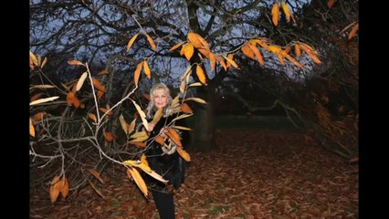 İLKAY ARMEN Gönlüm özledikçe görürdüm