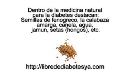 Medicina natural para la diabetes