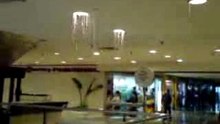 Rain in the Mall
