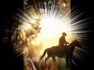 MURAT PELİT HADDİNİ AŞMA