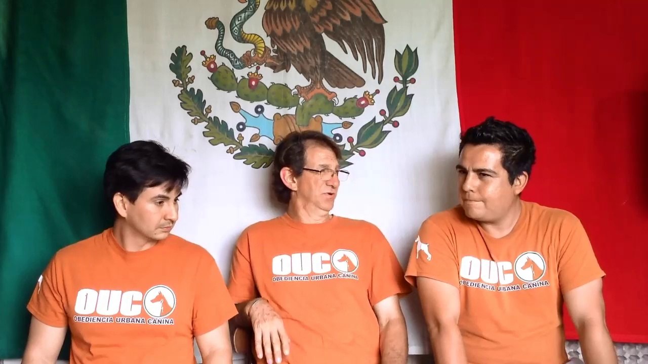 17.PERROS AL AIRE. 15 COSAS QUE DEBES SABER DE TU PERROS