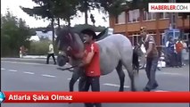 Atlarla Şaka Olmaz