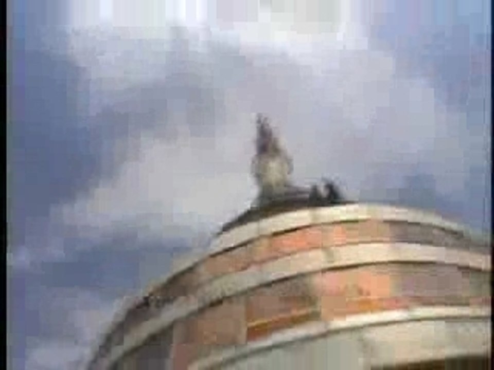Base jump