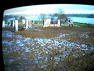 concours E3 CSO à Cholet avec Gavroche