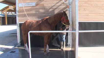 Célà tv le JT - Pemière réunion hippique de la saison à l'hippodrome de Chatelaillon