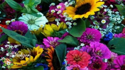 Koro - Ben Ağlarım Yane Yane