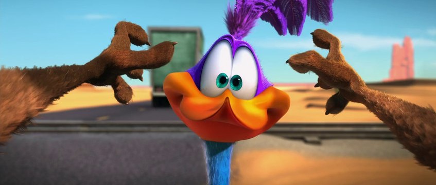 Looney Tunes Coyote Falls (2010)