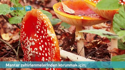 Mantar Zehirlenmesi