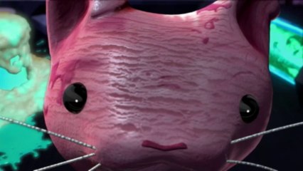 Teenage Mutant Ninja Turtles : les Tortues Ninja - Mikey