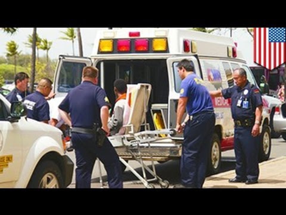 Stowaway teen survives California to Hawaii flight in plane's landing gear