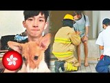 Hero dog saves owner from house fire