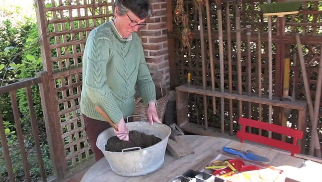 Jardinage: la préparation des semis de courges, mode d'emploi