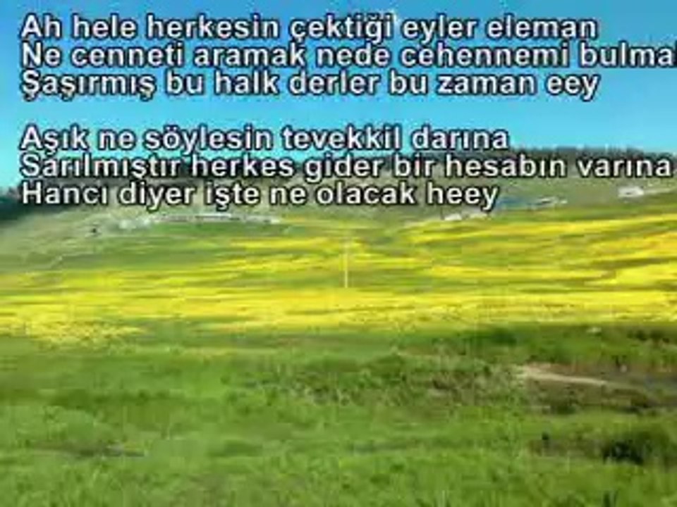 şaşırmış bu halk