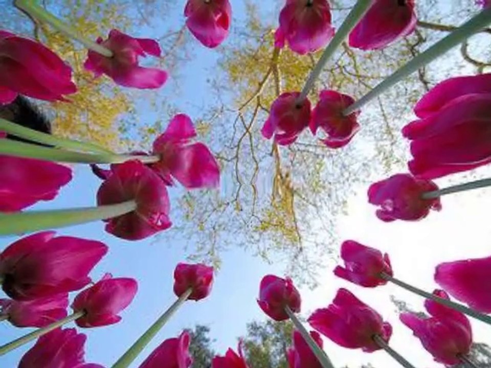 Aşağı Çayırlı Köyü Bayram Hatırası