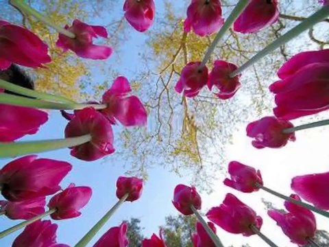 Aşağı Çayırlı Köyü Bayram Hatırası