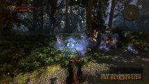 The Witcher 2 Assassins of Kings Gameplay Trailer