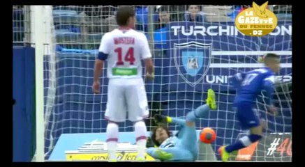 Semaine Du Fennec # 29