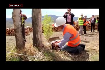 İşçilere ağaç kesme kursu!