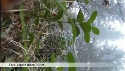 Exploser une Maison avec 50kg de Dynamite