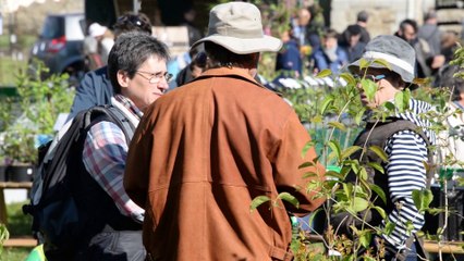 Le film du week-end - 19-21 avril 2014