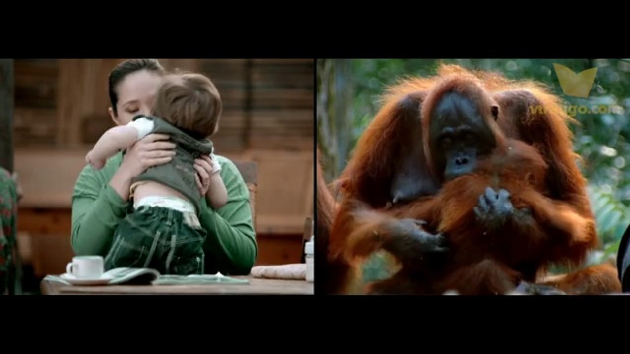 İnsanlar ve Hayvanlar Arasındaki 16 Müthiş Benzerlik