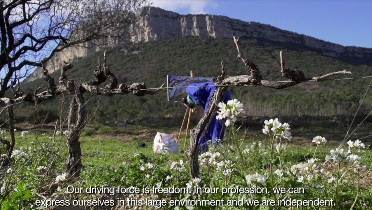 Domaine de l'Hortus - Pic St-Loup