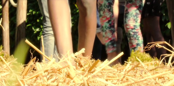 L'allée aux chatouilles - Muséum de Grenoble