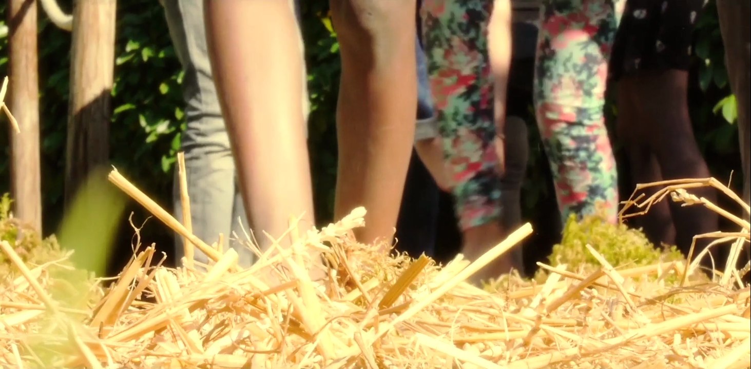 L'allée aux chatouilles - Muséum de Grenoble