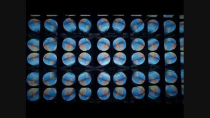 Paul Weller Brand New Toy