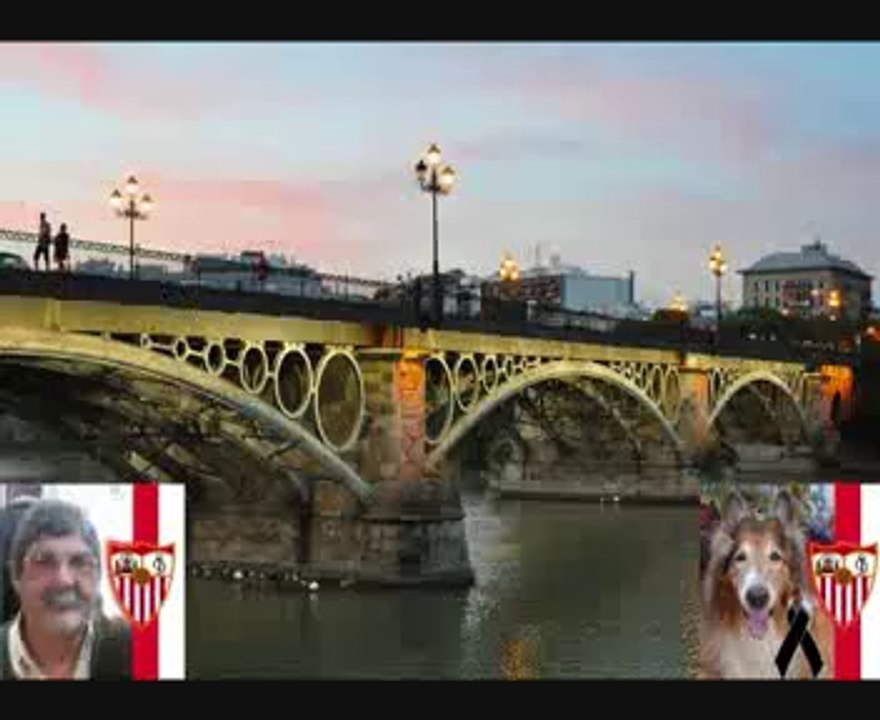 El Cachorro 2014
