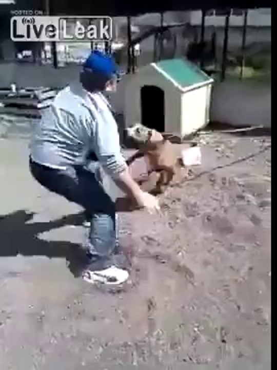 Sen Köpeği Kışkırtırsın Hee..