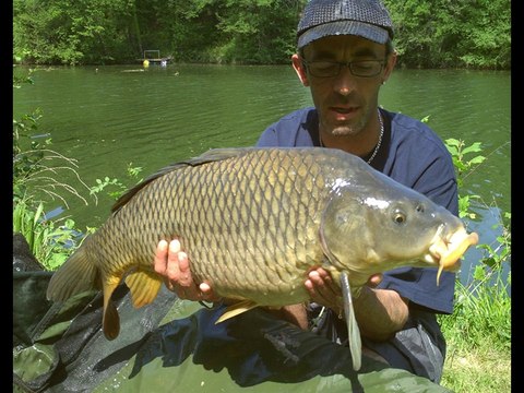 session de 24hrs peche a la carpe sur le vidourle