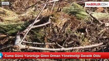 Cuma Günü Yürürlüğe Giren Orman Yönetmeliği Davalık Oldu