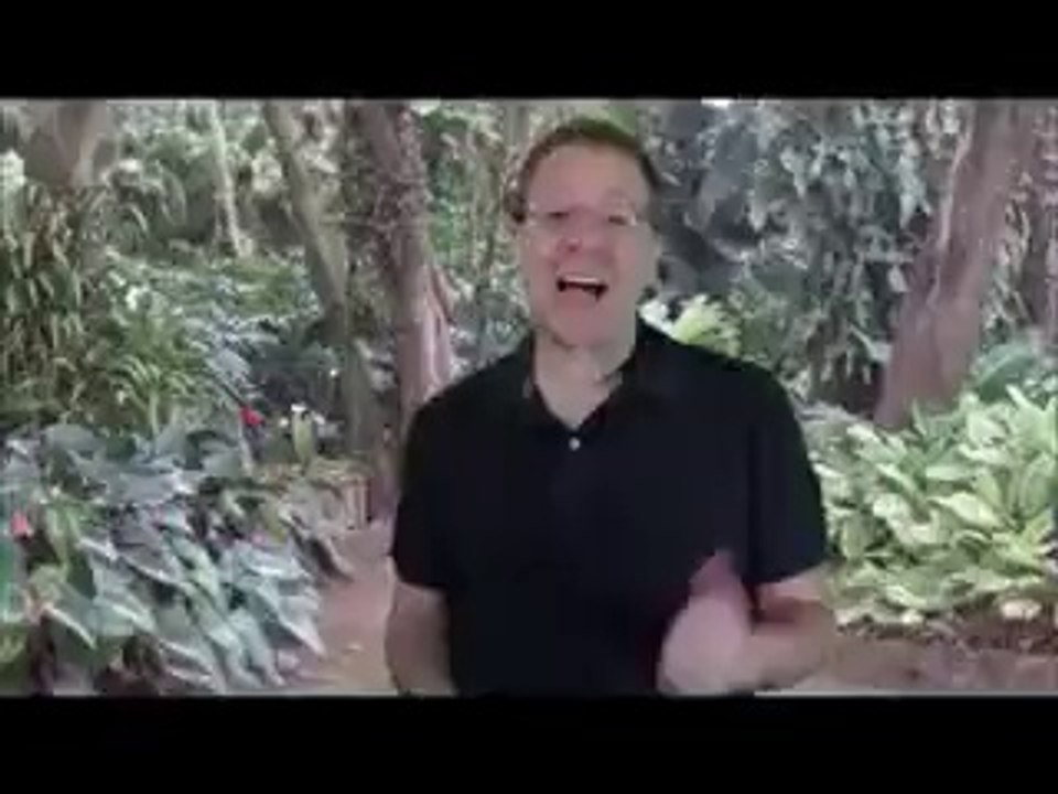 learn currency trading  fapturbo 2 system review free