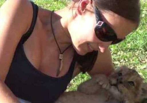 Lion Cubs Just Love to Be Cuddled