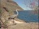 Galapagos Animals: Learn About Galapagos Animals & Plants During A Galapagos Cruise