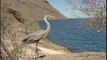Galapagos Animals: Learn About Galapagos Animals & Plants During A Galapagos Cruise