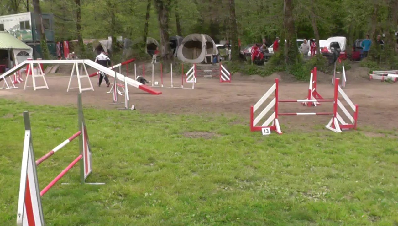 Daisy open + villeneuve
