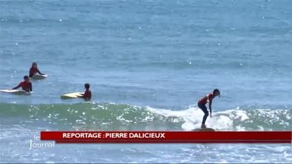 Tourisme : Comment s’annonce la saison 2014 ? (Vendée)