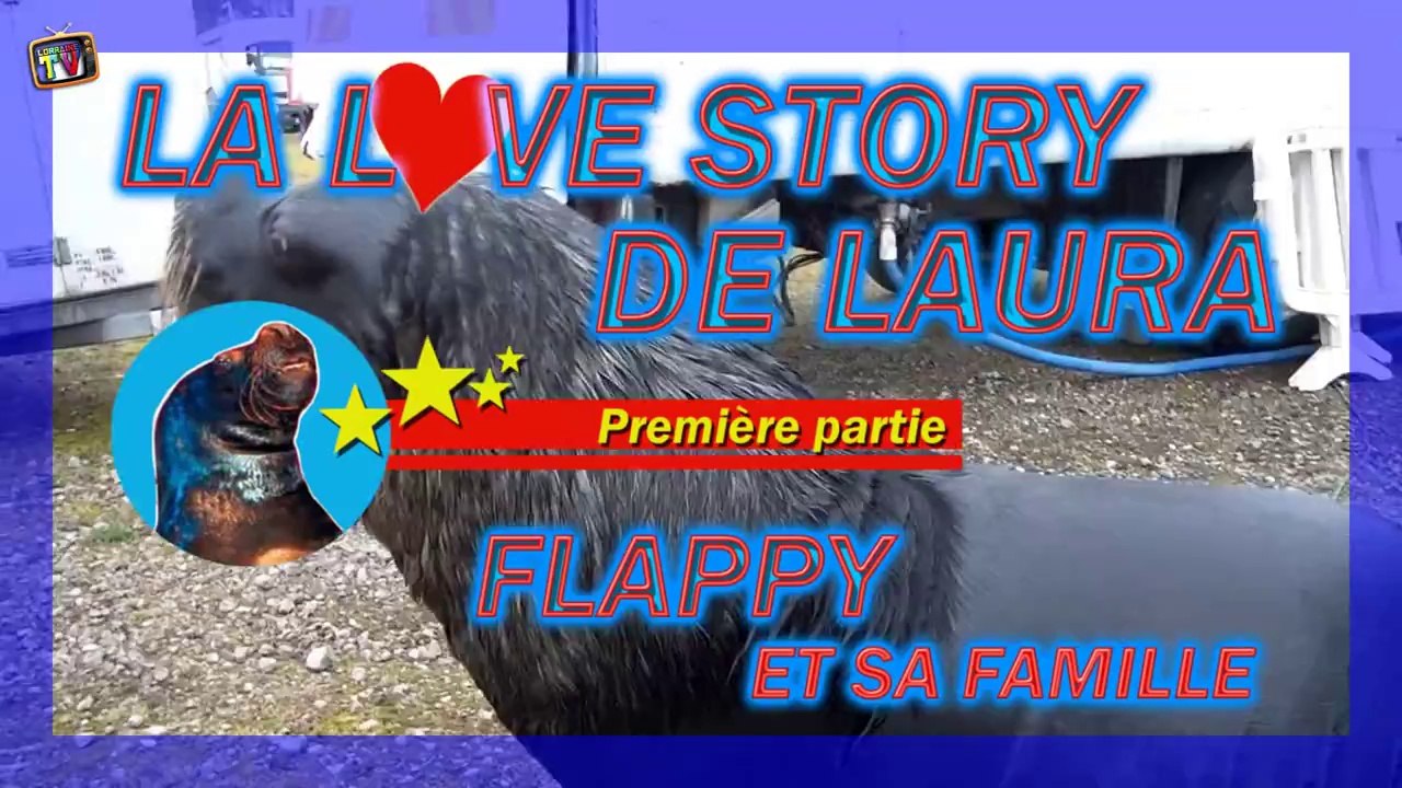 La love story de Laura - Flappy et sa famille (Le grand cirque sur l'eau, Episode 1/5, 1ère partie)